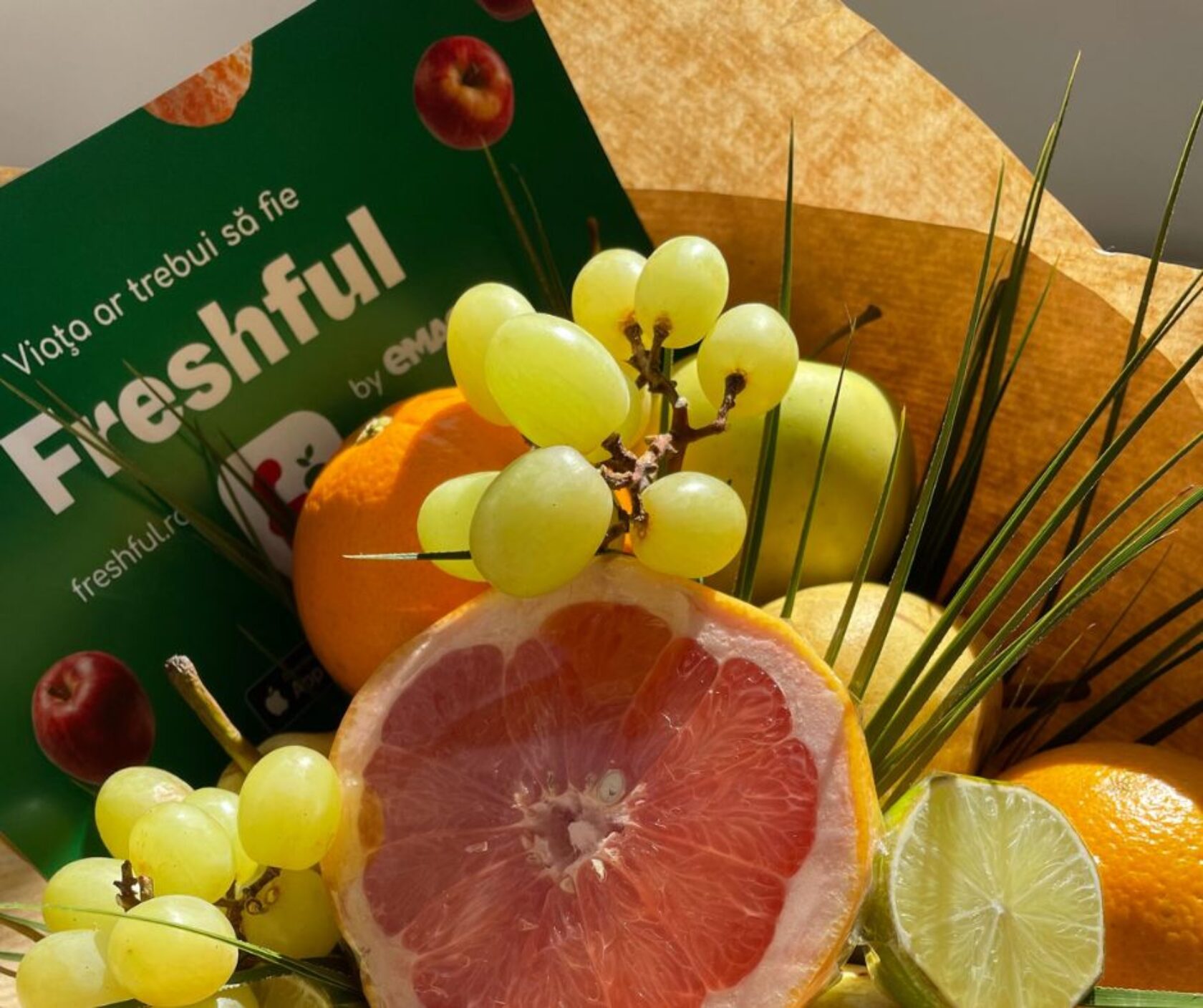 freshful 3